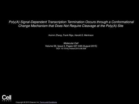 Poly(A) Signal-Dependent Transcription Termination Occurs through a Conformational Change Mechanism that Does Not Require Cleavage at the Poly(A) Site 