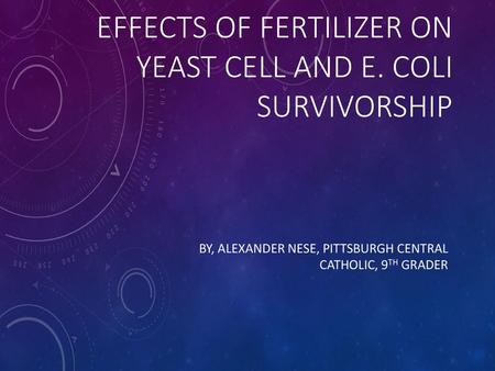 Effects Of Fertilizer on Yeast Cell and E. Coli Survivorship