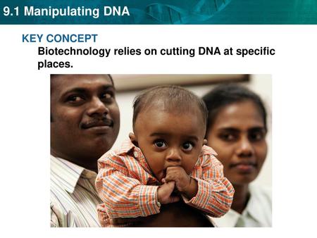 KEY CONCEPT  Biotechnology relies on cutting DNA at specific places.