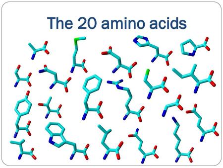 The 20 amino acids.