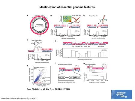 Identification of essential genome features.