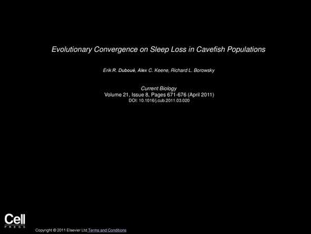 Evolutionary Convergence on Sleep Loss in Cavefish Populations