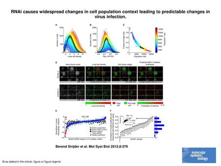 RNAi causes widespread changes in cell population context leading to predictable changes in virus infection. RNAi causes widespread changes in cell population.