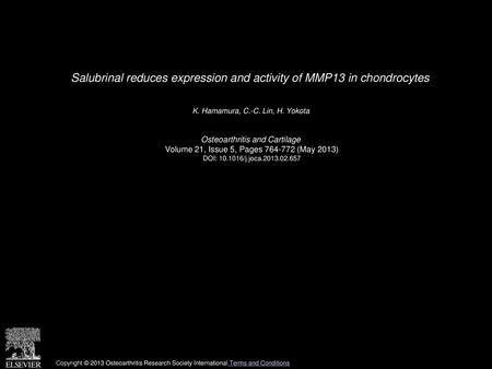 Salubrinal reduces expression and activity of MMP13 in chondrocytes