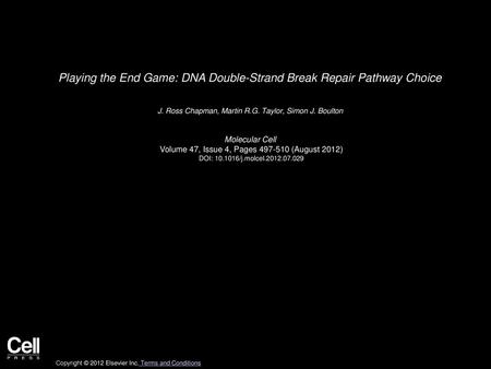 Playing the End Game: DNA Double-Strand Break Repair Pathway Choice