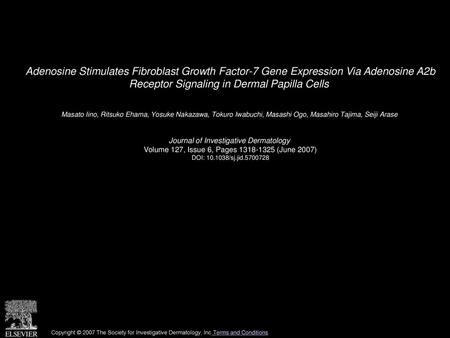 Adenosine Stimulates Fibroblast Growth Factor-7 Gene Expression Via Adenosine A2b Receptor Signaling in Dermal Papilla Cells  Masato Iino, Ritsuko Ehama,