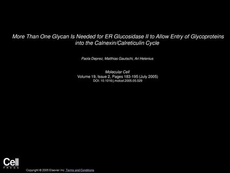 More Than One Glycan Is Needed for ER Glucosidase II to Allow Entry of Glycoproteins into the Calnexin/Calreticulin Cycle  Paola Deprez, Matthias Gautschi,