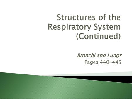 Structures of the Respiratory System (Continued)