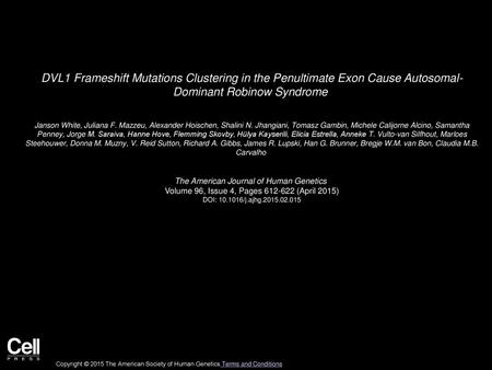 DVL1 Frameshift Mutations Clustering in the Penultimate Exon Cause Autosomal- Dominant Robinow Syndrome  Janson White, Juliana F. Mazzeu, Alexander Hoischen,