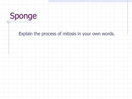 Sponge Explain the process of mitosis in your own words.