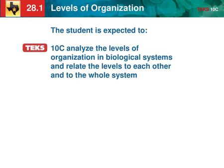 The student is expected to: 10C analyze the levels of organization in biological systems and relate the levels to each other and to the whole system.