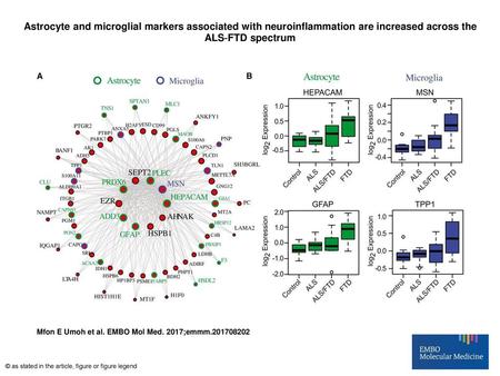 Astrocyte and microglial markers associated with neuroinflammation are increased across the ALS‐FTD spectrum Astrocyte and microglial markers associated.