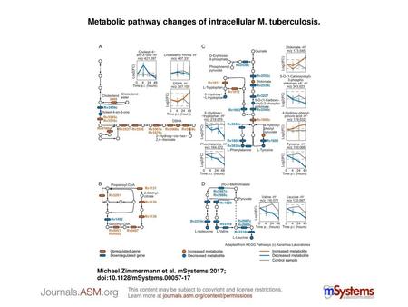 Metabolic pathway changes of intracellular M. tuberculosis.