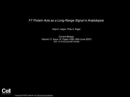 FT Protein Acts as a Long-Range Signal in Arabidopsis