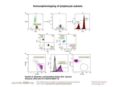 Immunophenotyping of lymphocyte subsets.