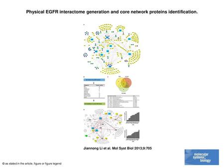 Physical EGFR interactome generation and core network proteins identification. Physical EGFR interactome generation and core network proteins identification.