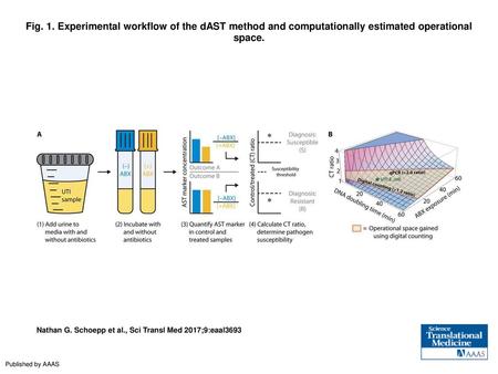 Fig. 1. Experimental workflow of the dAST method and computationally estimated operational space. Experimental workflow of the dAST method and computationally.