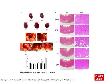 Masashi Maeda et al. Heart Asia 2013;5:7-14
