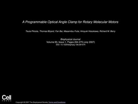 A Programmable Optical Angle Clamp for Rotary Molecular Motors