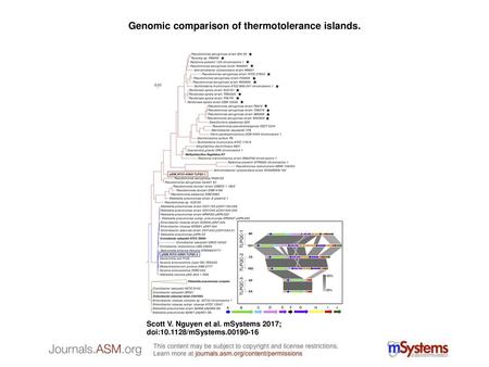 Genomic comparison of thermotolerance islands.