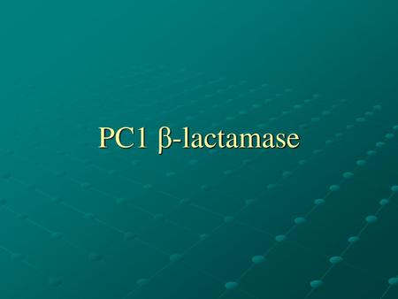 PC1 β-lactamase.