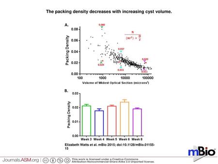 The packing density decreases with increasing cyst volume.