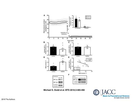 Michael S. Dodd et al. BTS 2018;3: