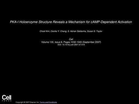 Choel Kim, Cecilia Y. Cheng, S. Adrian Saldanha, Susan S. Taylor  Cell 