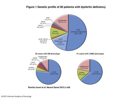 Figure 1 Genetic profile of 90 patients with dysferlin deficiency