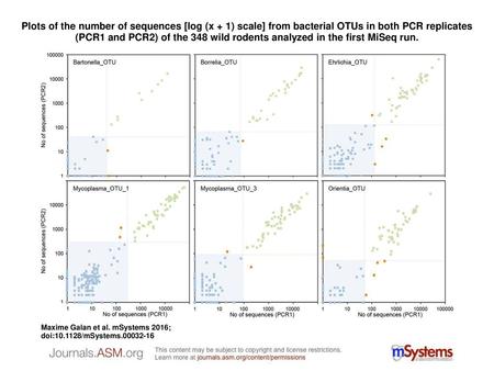 Plots of the number of sequences [log (x + 1) scale] from bacterial OTUs in both PCR replicates (PCR1 and PCR2) of the 348 wild rodents analyzed in the.