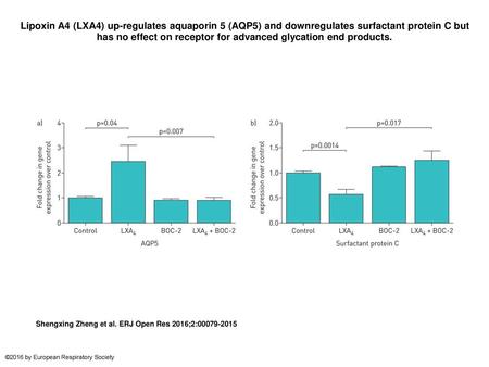 Lipoxin A4 (LXA4) up-regulates aquaporin 5 (AQP5) and downregulates surfactant protein C but has no effect on receptor for advanced glycation end products.