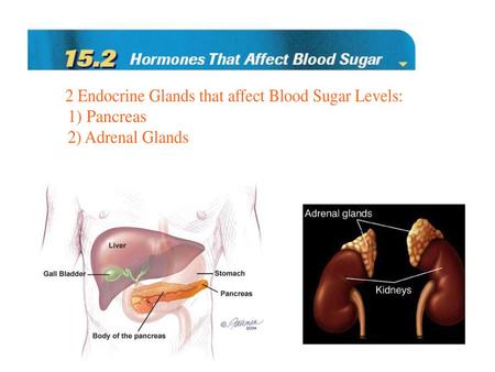 The Pancreas Contains two types of cells: one produces digestive enzymes and the other produces hormones Hormone producing cells are located in structures.