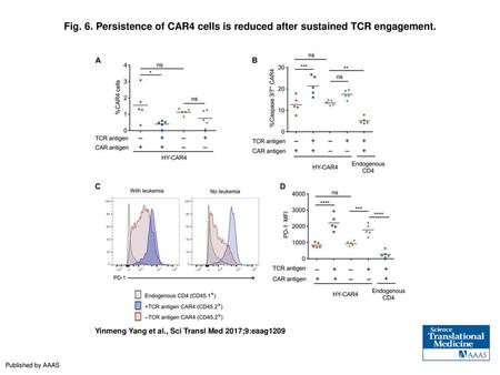 Persistence of CAR4 cells is reduced after sustained TCR engagement