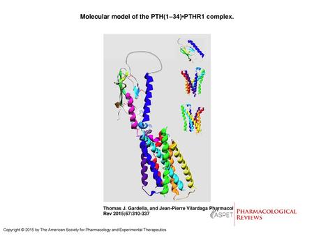 Molecular model of the PTH(1–34)•PTHR1 complex.