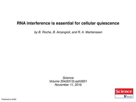 RNA interference is essential for cellular quiescence