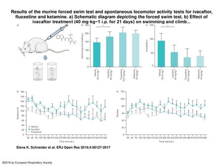 Results of the murine forced swim test and spontaneous locomotor activity tests for ivacaftor, fluoxetine and ketamine. a) Schematic diagram depicting.