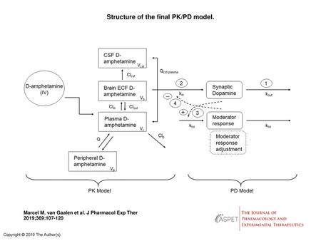 Structure of the final PK/PD model.