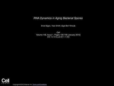 RNA Dynamics in Aging Bacterial Spores