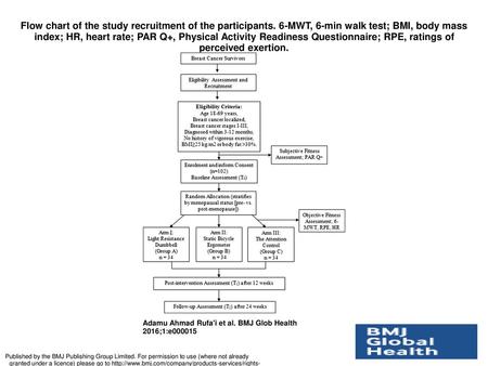 Flow chart of the study recruitment of the participants