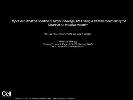 Rapid identification of efficient target cleavage sites using a hammerhead ribozyme library in an iterative manner  Wei-Hua Pan, Ping Xin, Vuong Bui,