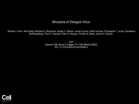 Structure of Dengue Virus