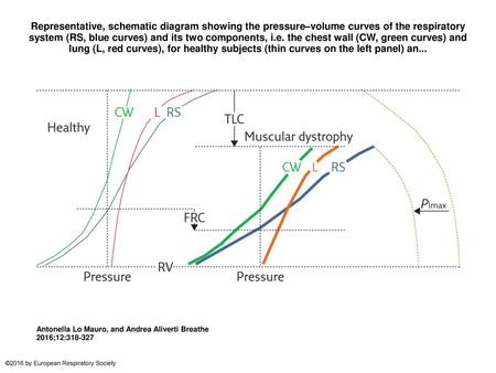 Representative, schematic diagram showing the pressure–volume curves of the respiratory system (RS, blue curves) and its two components, i.e. the chest.