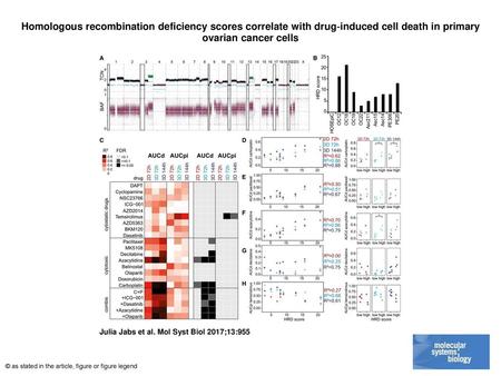 Homologous recombination deficiency scores correlate with drug‐induced cell death in primary ovarian cancer cells Homologous recombination deficiency scores.