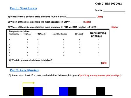 Part 1: Short Answer Quiz 2: Biol Name:_______________