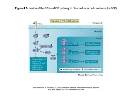 Nat. Rev. Nephrol. doi: /nrneph