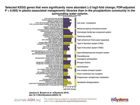 Selected KEGG genes that were significantly more abundant (>2 log2-fold change; FDR-adjusted P < 0.005) in plastic-associated metagenomic libraries than.