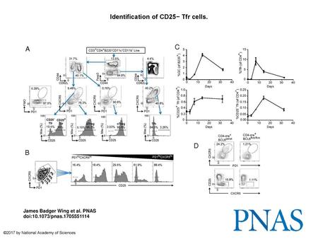 Identification of CD25− Tfr cells.