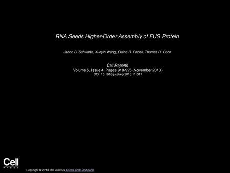 RNA Seeds Higher-Order Assembly of FUS Protein