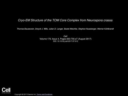 Cryo-EM Structure of the TOM Core Complex from Neurospora crassa