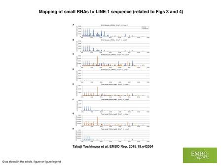 Mapping of small RNAs to LINE‐1 sequence (related to Figs 3 and 4)‏